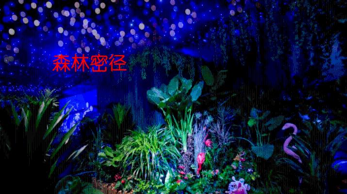 默认城市20多个的手机天气预报APP